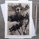 Handpainted Black and White Daisies. Wall Art. Keepsake Gift