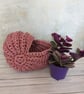 Ammonite basket, crochet shell, home decor, nautilus, fossil, T-shirt yarn - Image 8