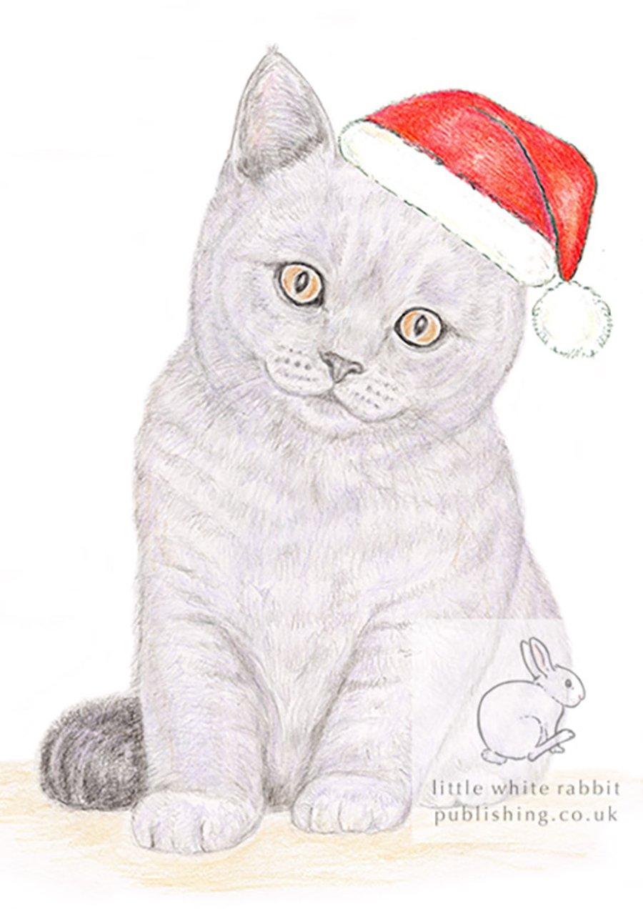 Gracie the Kitten - Christmas Hat Card