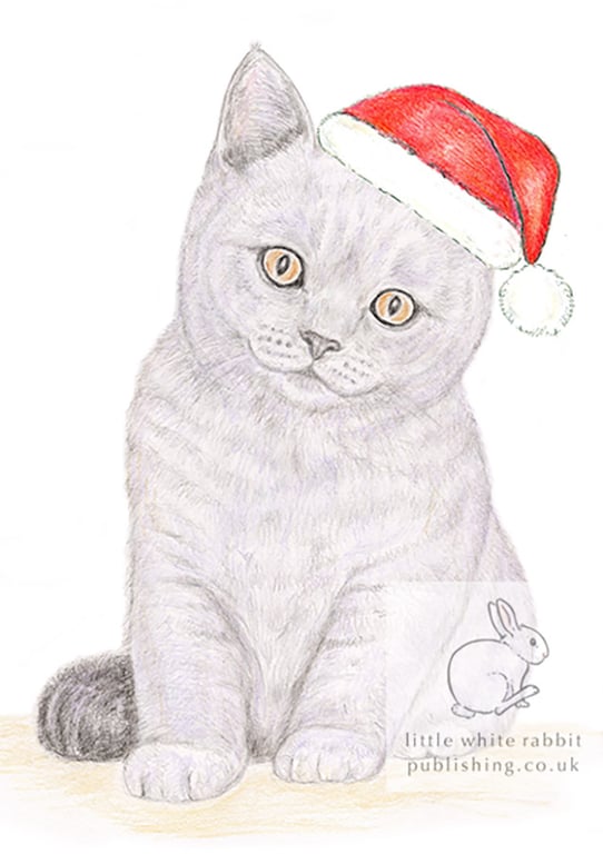 Gracie the Kitten - Christmas Hat Card