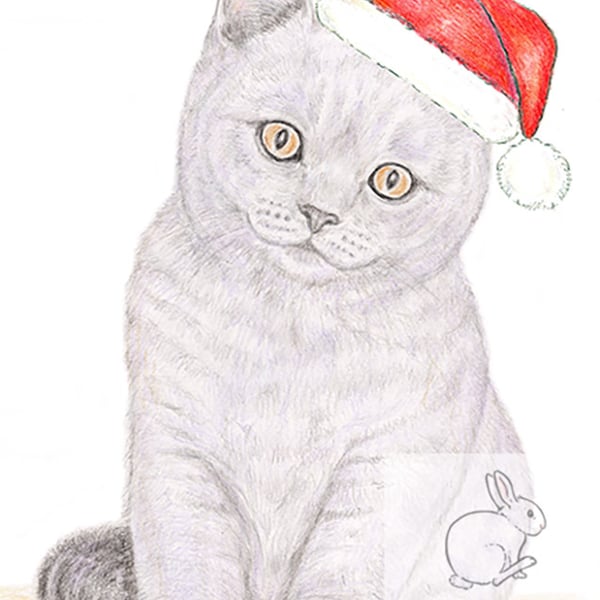 Gracie the Kitten - Christmas Hat Card
