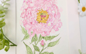 Original watercolour paintings 
