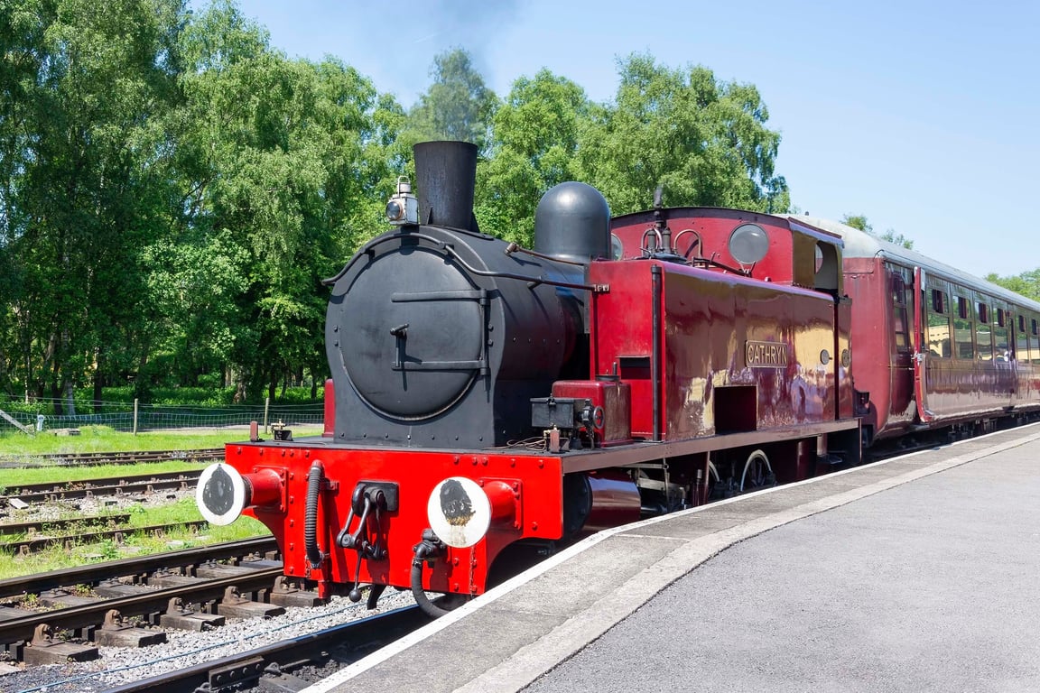 Cathryn S102 waiting for orders print