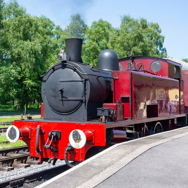 Cathryn S102 waiting for orders print