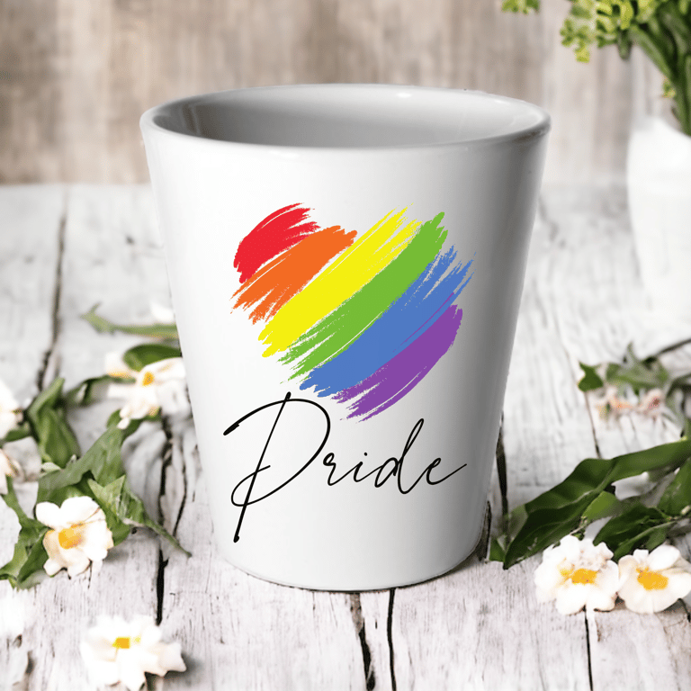 Gay Pride Heart Plant Pot -Succulent Cactus Flower Pot - Funny Flower pot