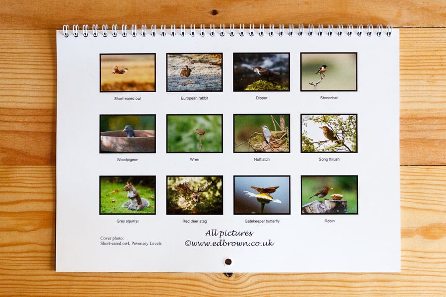 2018 UK wildlife calendar