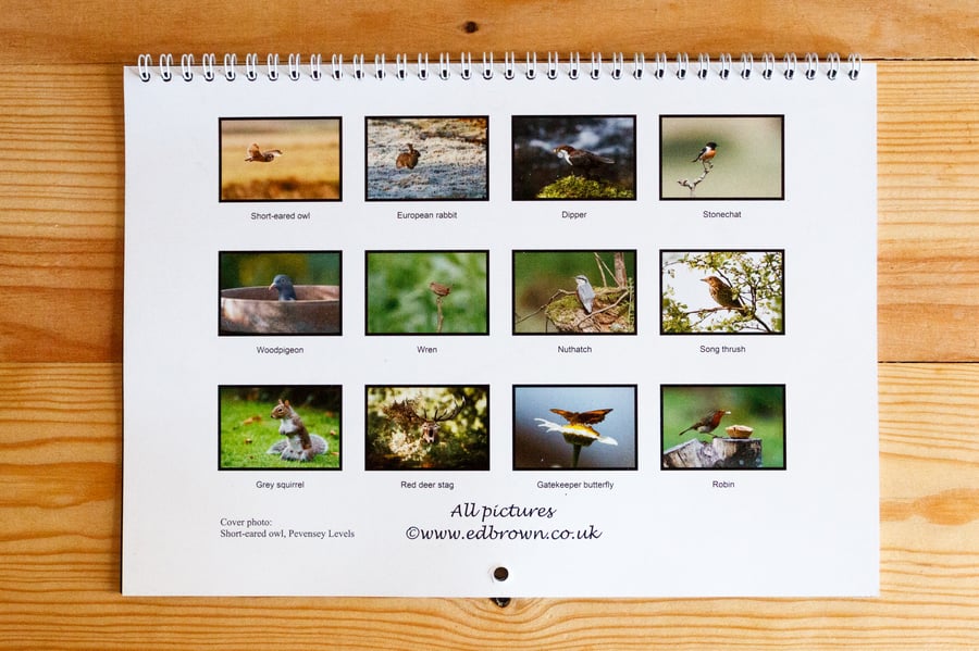 2018 UK wildlife calendar