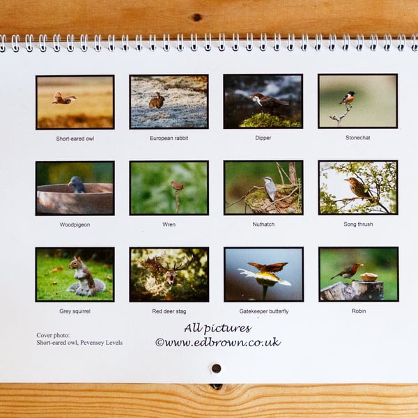 2018 UK wildlife calendar