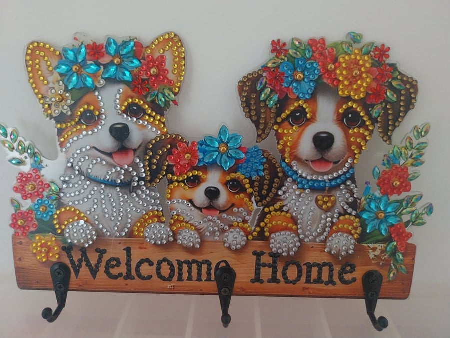 Diamond Art Key Hook