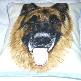 Portrait picture of a German Shepherd Dog facing forward cushion,