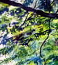  Framed Landscape Impressionist Watercolour Painting River Walk In Summer - Image 5