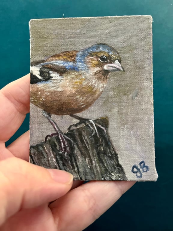 ACEO chaffinch bird original painting