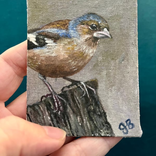 chaffinch bird original painting