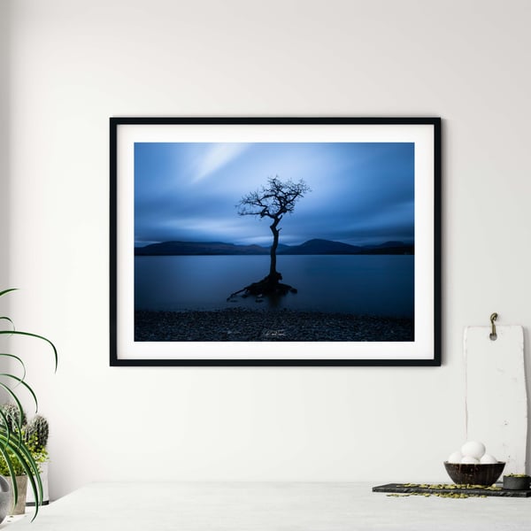 Lonely tree, Milarrochy Bay, Loch Lomond Signed mounted print