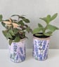 Lavender floral grow your own herb gift set  - Image 7