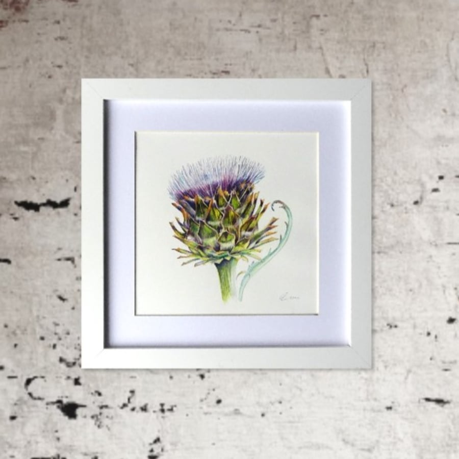 Framed Artichoke Botanical Watercolour Painting