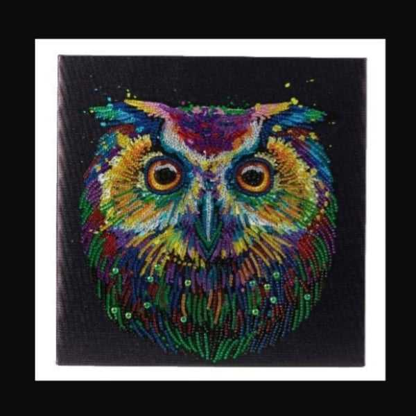 Rainbow owl 30x30cm crystal art kit