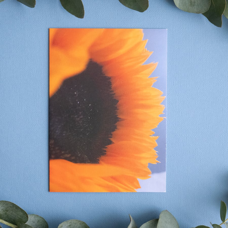 Face of a Sun - Blank Nature Photography Greetings Card & Envelope 