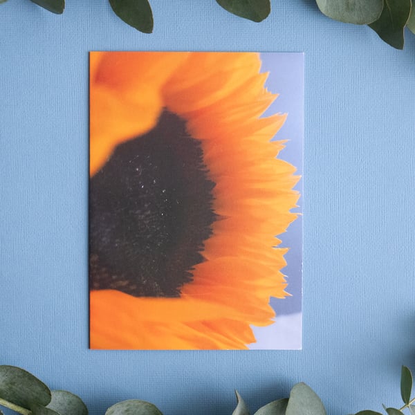 Face of a Sun - Blank Nature Photography Greetings Card & Envelope 