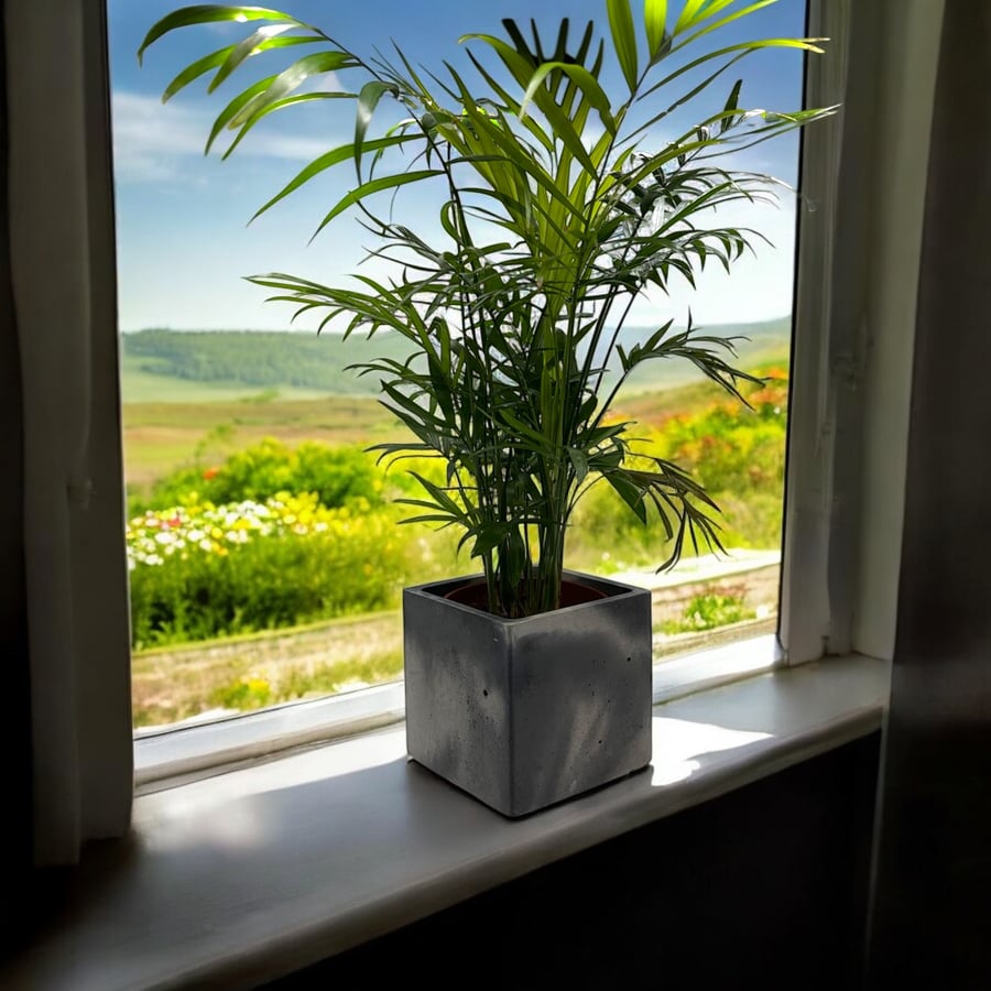 Square Concrete Plant Pot - Neutral Grey and Black Marbled Planter (cpp16)