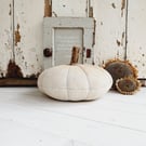 Large White Pumpkin