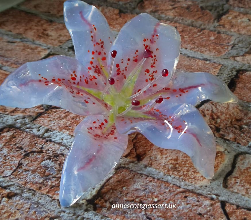Handmade Fused Glass Opaline and Pink Lily with Wall-mount