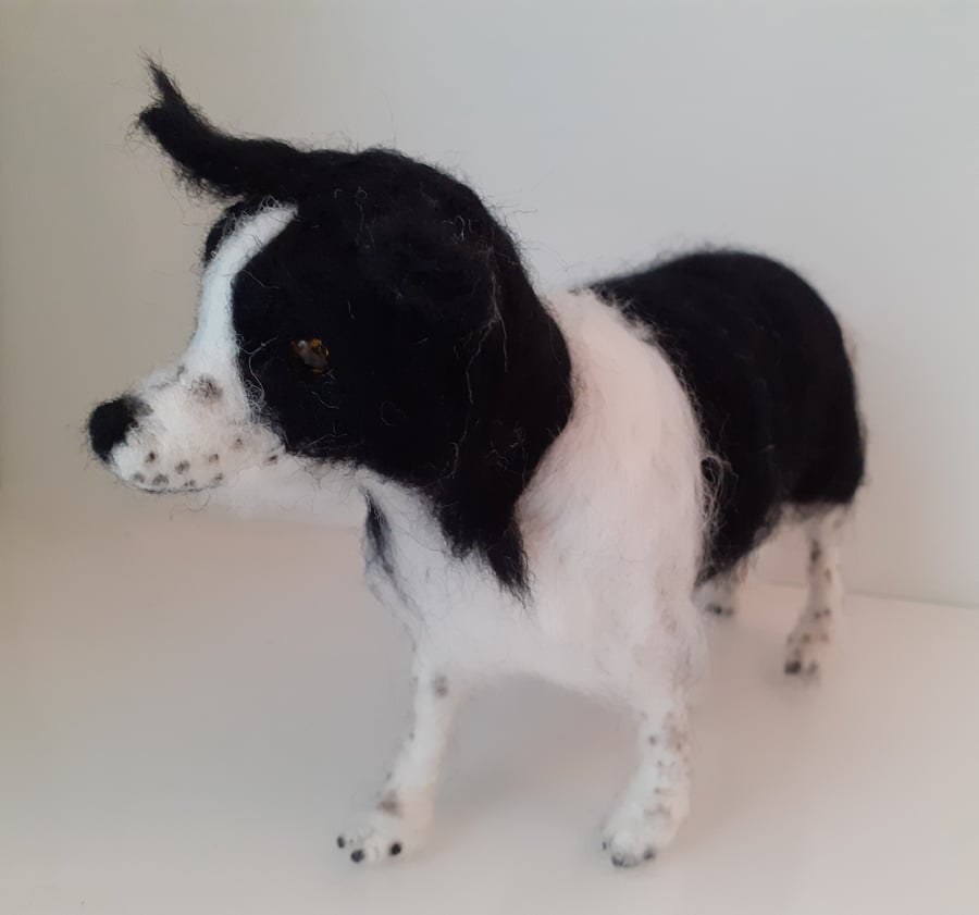 OREO ,Border Collie  dog, needle felted wool sculpture OOAK collectable 