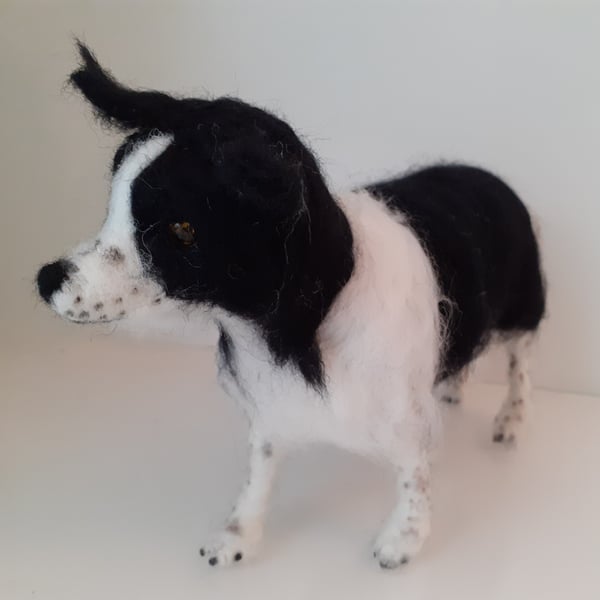 OREO ,Border Collie  dog, needle felted wool sculpture OOAK collectable 