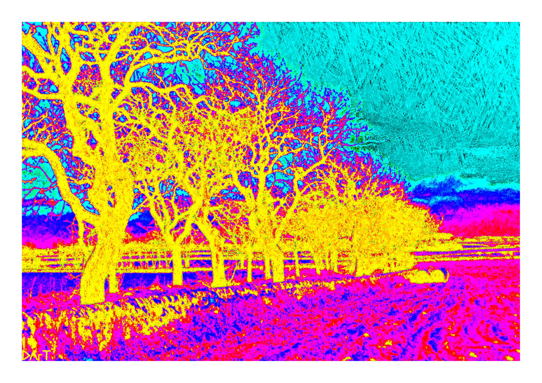 Vibrant Print - Homage to Vincent 