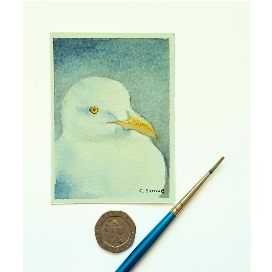 Original ACEO  Seagull Portrait Miniature Painting, Watercolour 