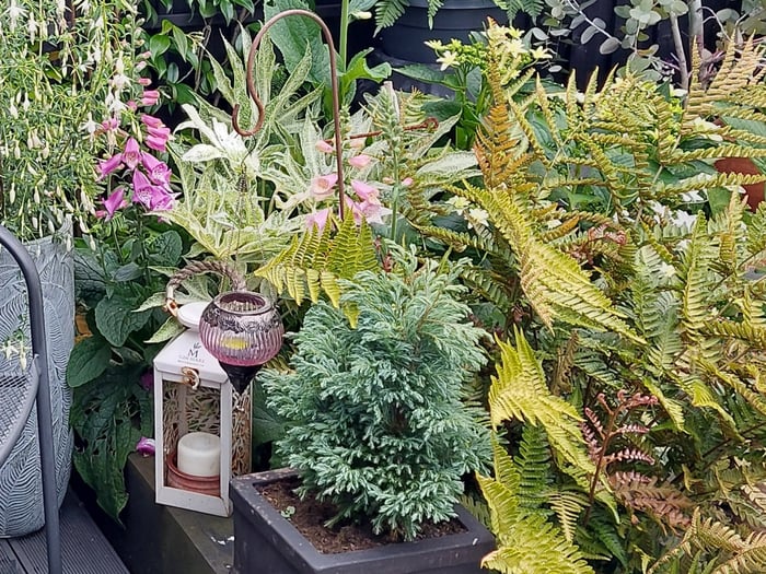 Fern and Foxglove Studio Arts and Crafts