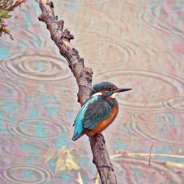 Kingfisher in the Rain Greeting Card A5 