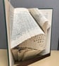 Loon COMBI Book Folding Pattern - EMAILED PDF PATTERN - Image 6