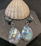 Abalone Shell & Chinese Crystal drop Earrings - Image 1