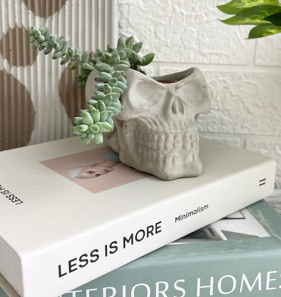 Concrete skull planter,cactus pot,succulent pot,indoor planter 