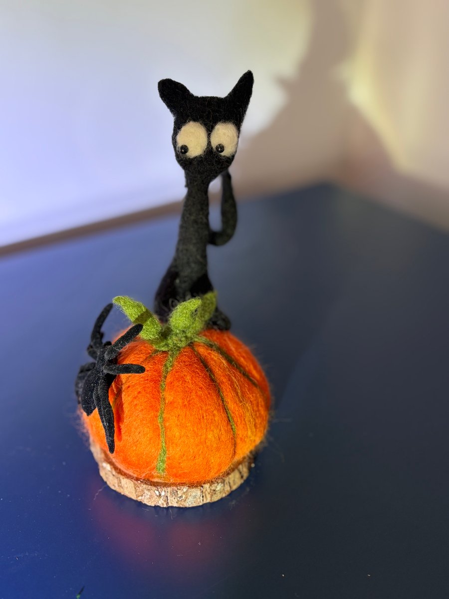 Spooked cat Halloween 