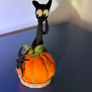 Spooked cat Halloween 