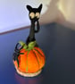 Spooked cat Halloween  - Image 1