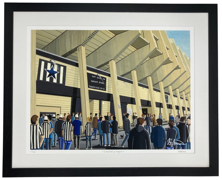 Newcastle United, St James' Park Limited Edition Framed Art Print (20" x 16")