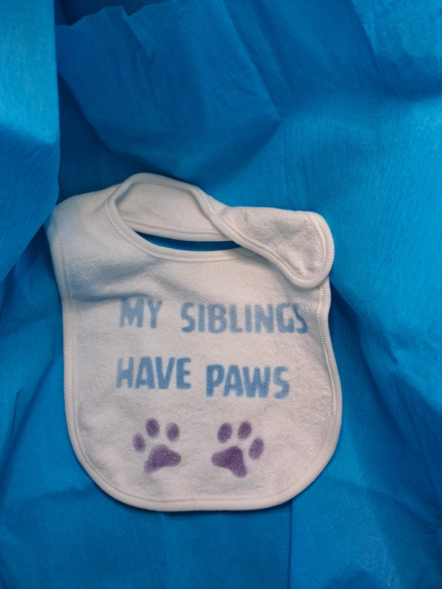 Personalised Baby Bib