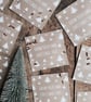 Grow Your Own Christmas Tree Seed Packet - Image 2