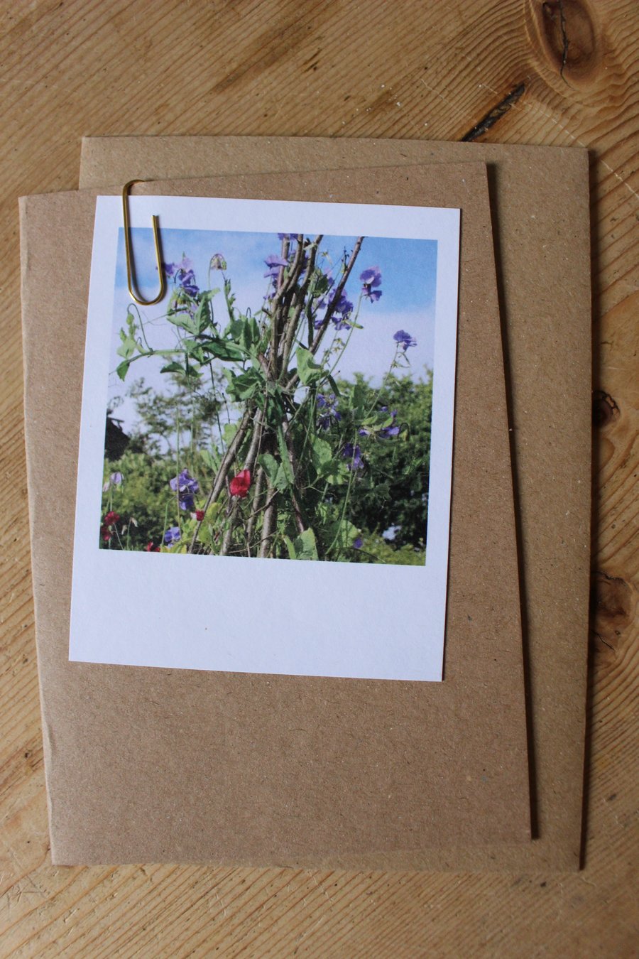 “Polaroid” style photo card: flowers