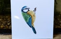 British Birds
