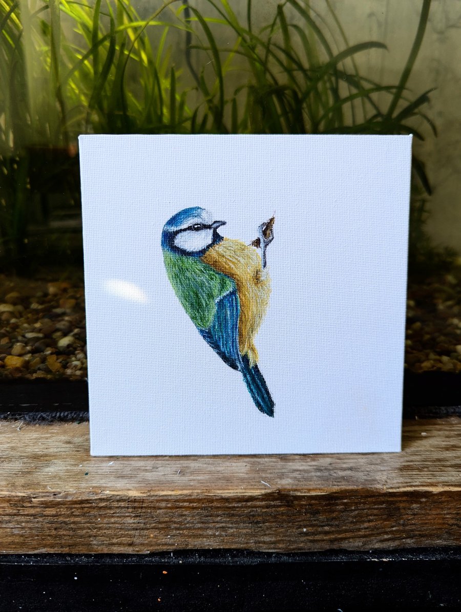 Blue Tit Bird Acrylic Painting 