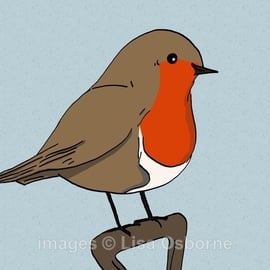 Robin - signed print from digital illustration