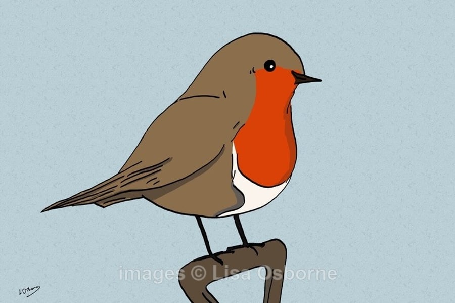 Robin - signed print from digital illustration