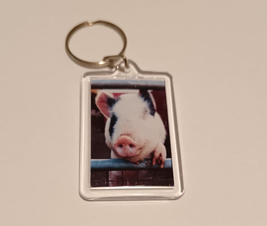 Cute piglet photography keyring 
