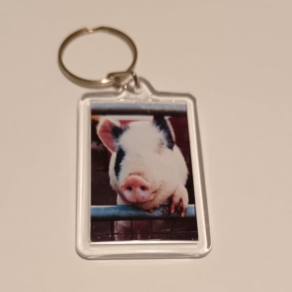 Cute piglet photography keyring 
