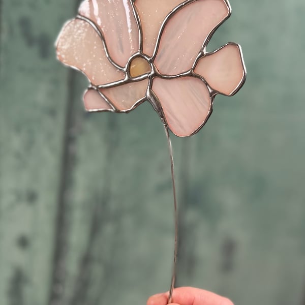 Pale Peach Stained Glass Heirloom Flower