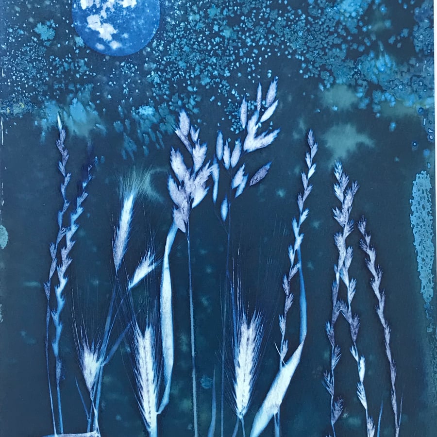 Azure - Midnight Grasses, an unusual original Cyanotype, art ready to frame.  